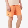 メンズ Lacoste Tennis X Novak Djokovic ショーツ メンズ Lacoste Tennis X Novak Djokovic ショーツ