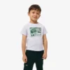 グラフィックプリントコットンTシャツ