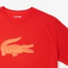 メンズ スポーツ トールフィット プリント コットン Tシャツ メンズ スポーツ トールフィット プリント コットン Tシャツ