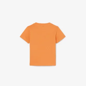 グラフィックプリントコットンTシャツ グラフィックプリントコットンTシャツ