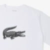 メンズ スポーツ トールフィット プリント コットン Tシャツ メンズ スポーツ トールフィット プリント コットン Tシャツ