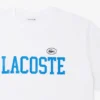 コットンジャージーTシャツ – プラスサイズ – ビッグ