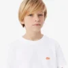 クロコダイルプリントコットンTシャツ