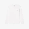 メンズ 軽量ピマコットン VネックTシャツ メンズ 軽量ピマコットン VネックTシャツ